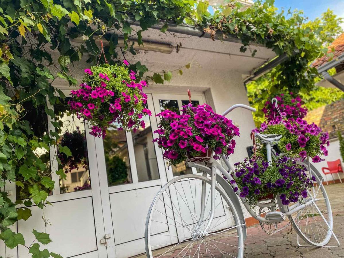 Apartments Vila White House Pančevo Eksteriør bilde